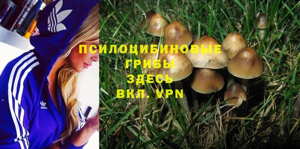 apvp Гусь-Хрустальный