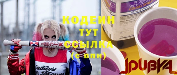 apvp Гусь-Хрустальный