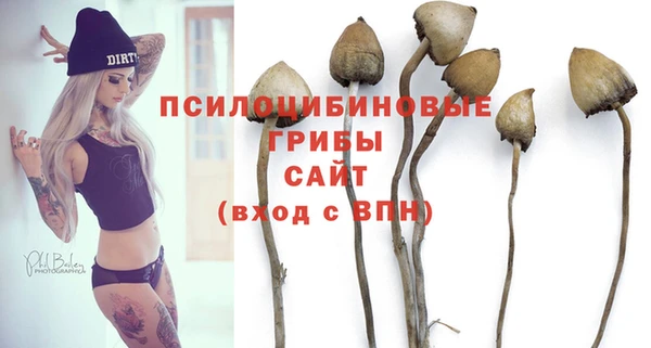 PSILOCYBIN Гусиноозёрск