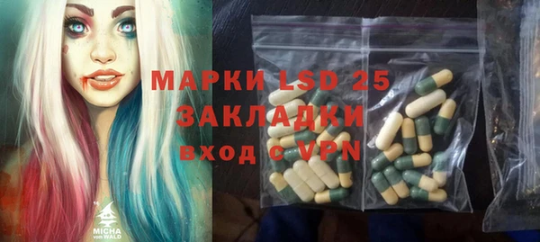 PSILOCYBIN Гусиноозёрск