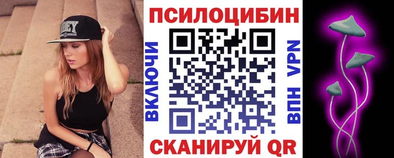 Галлюциногенные грибы Psilocybine cubensis Домодедово